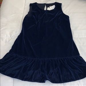 Jcrew Velvet Dress
